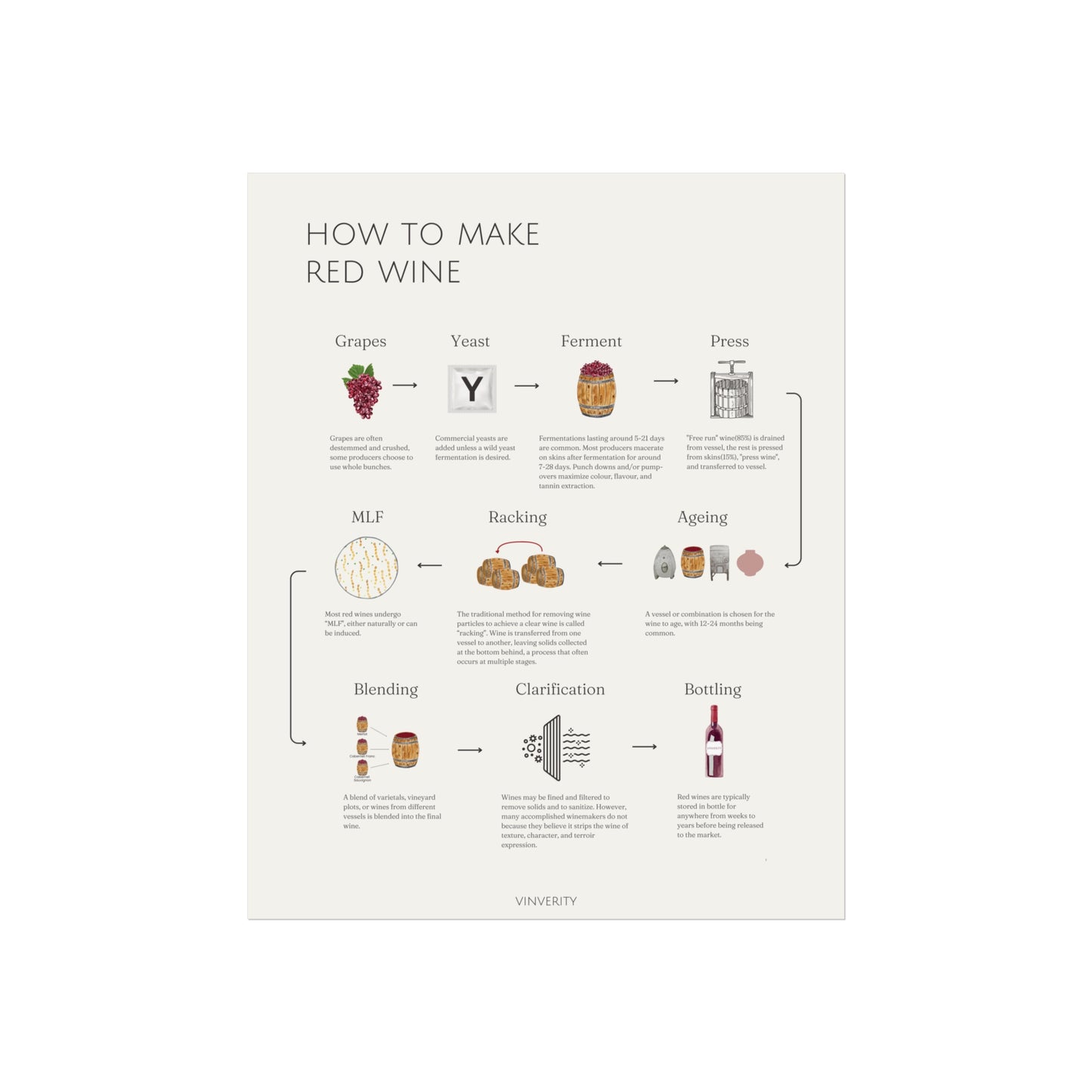 Elegant Red Winemaking Poster