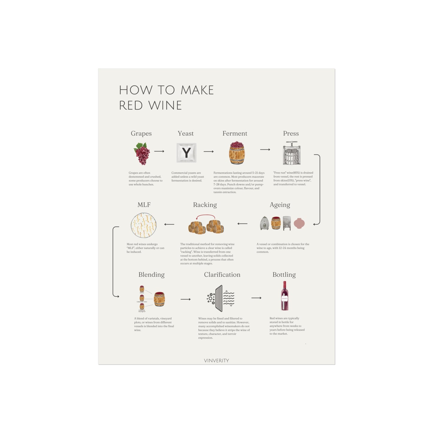 Elegant Red Winemaking Poster