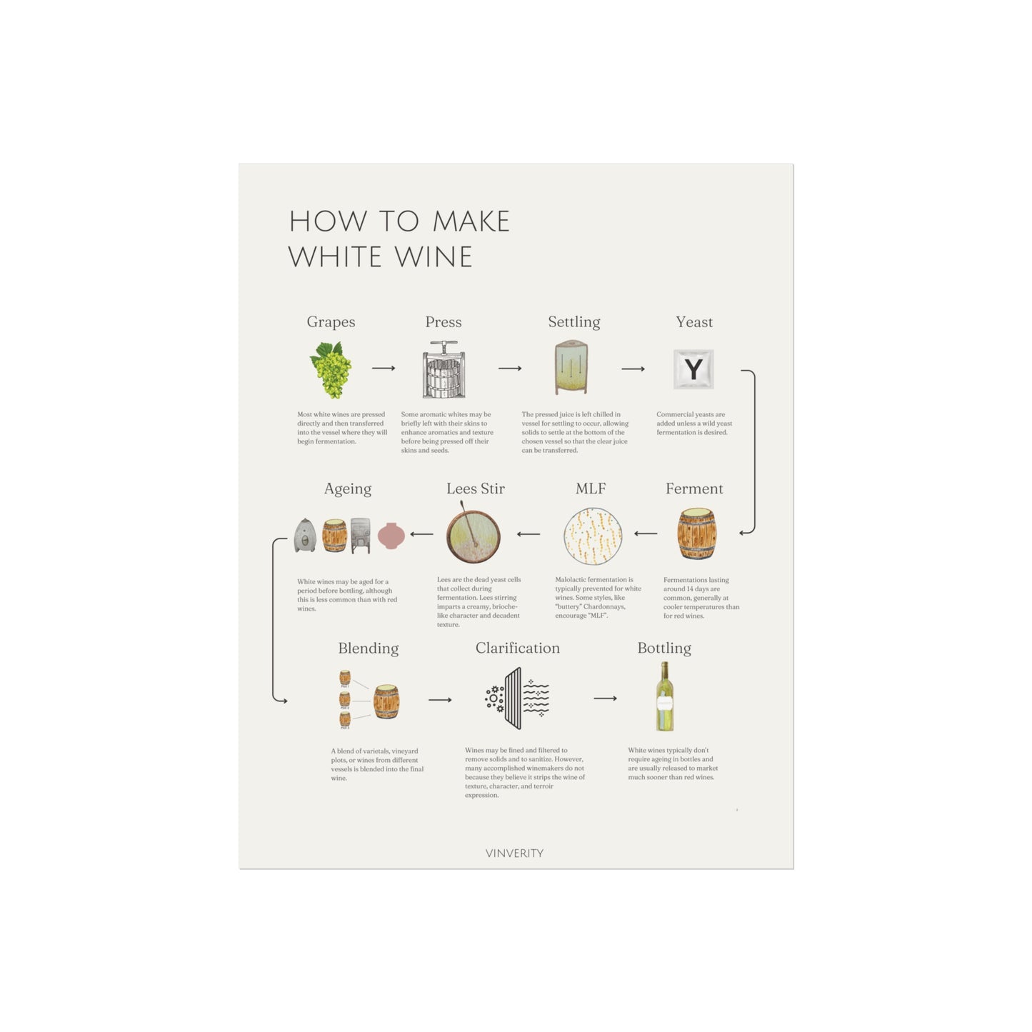 Elegant White Winemaking Poster
