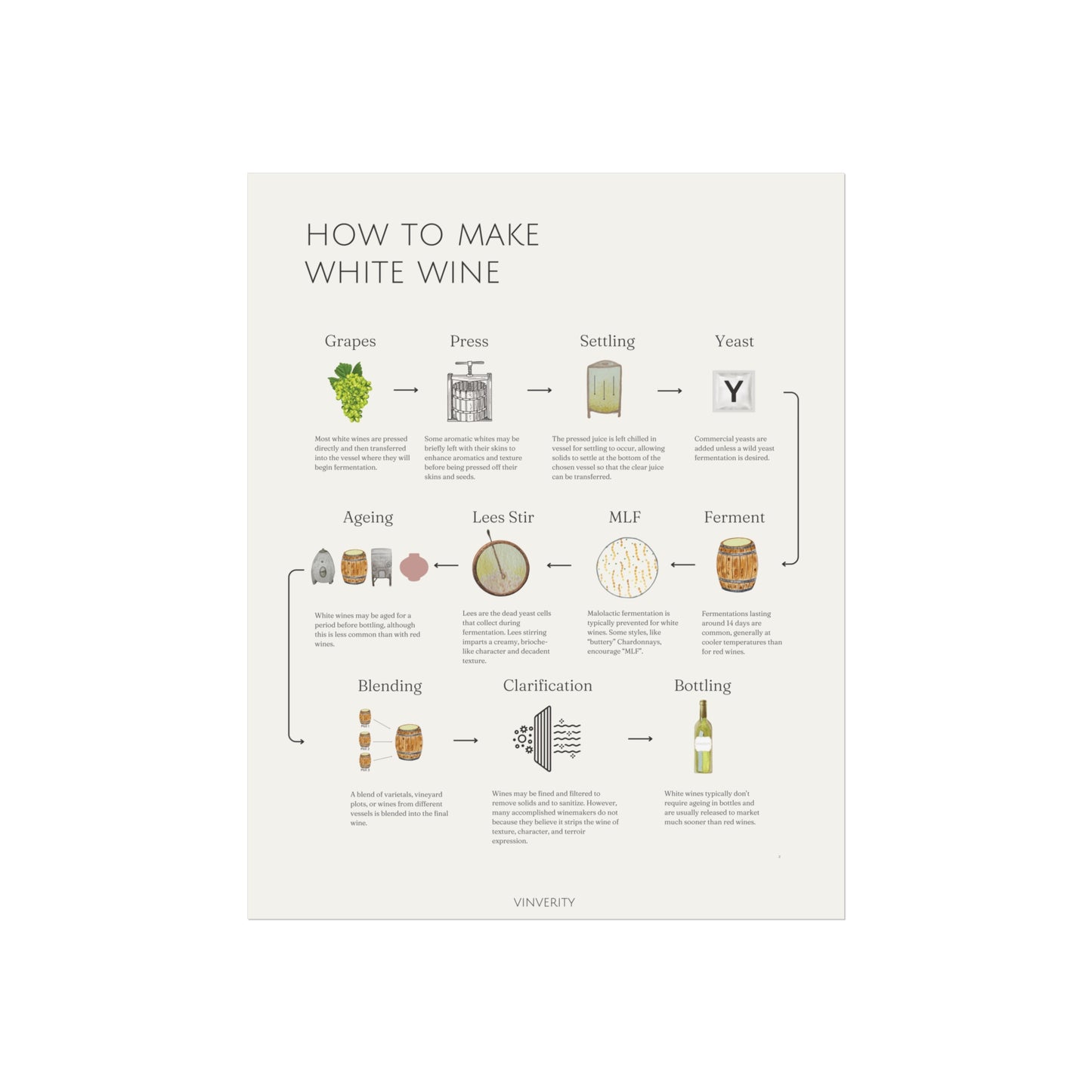 Elegant White Winemaking Poster