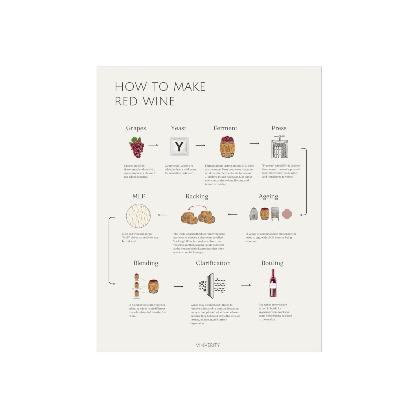 Elegant Red Winemaking Poster