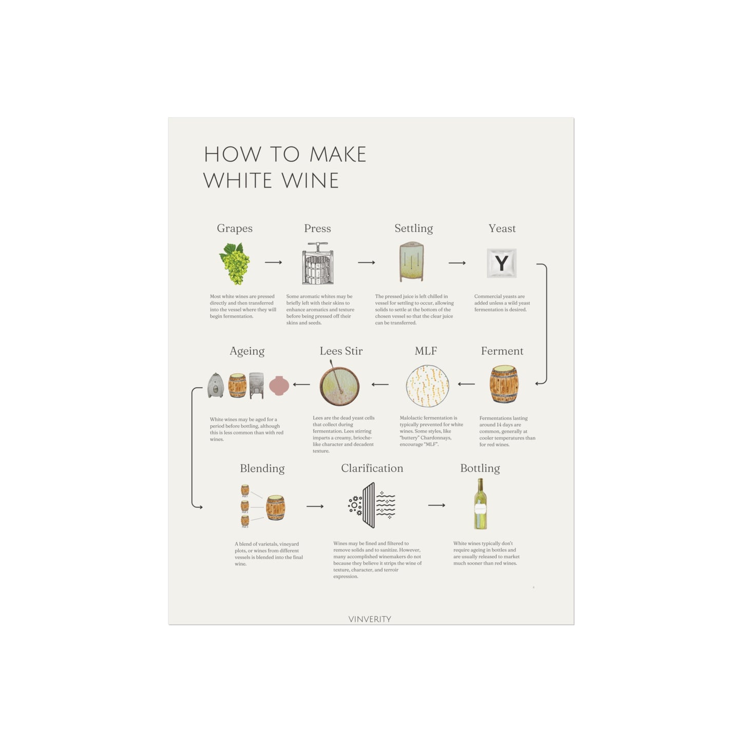 Elegant White Winemaking Poster