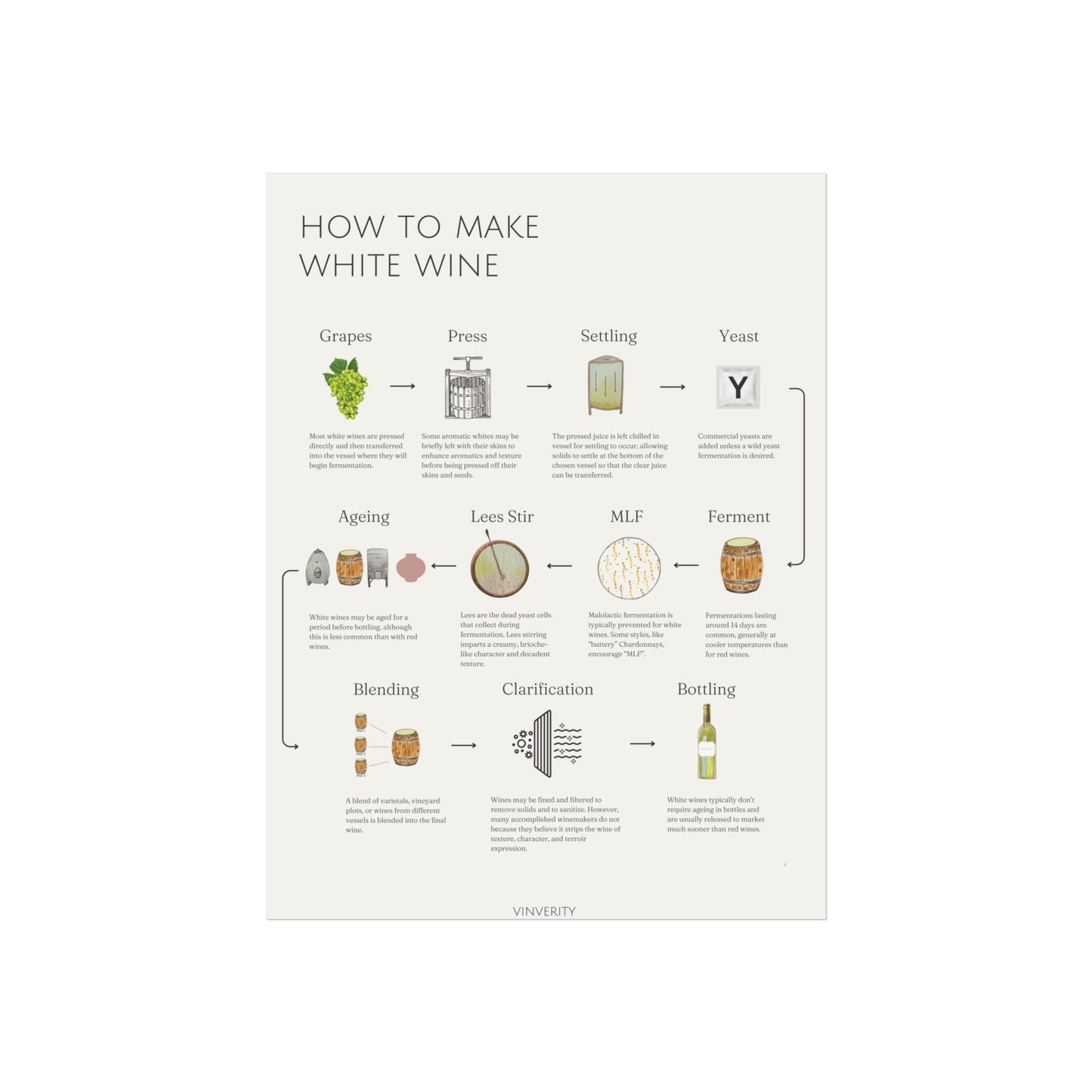 Elegant White Winemaking Poster