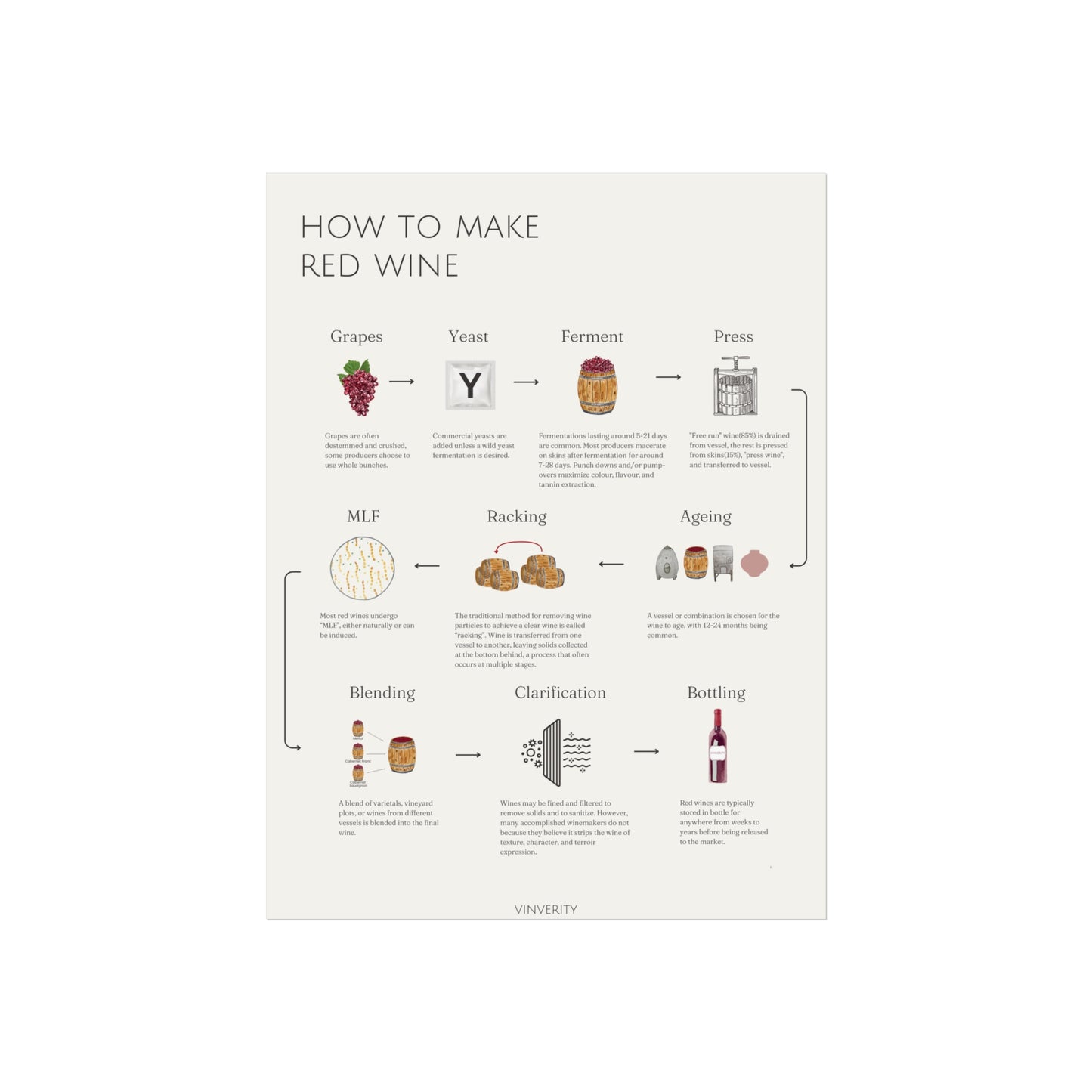 Elegant Red Winemaking Poster
