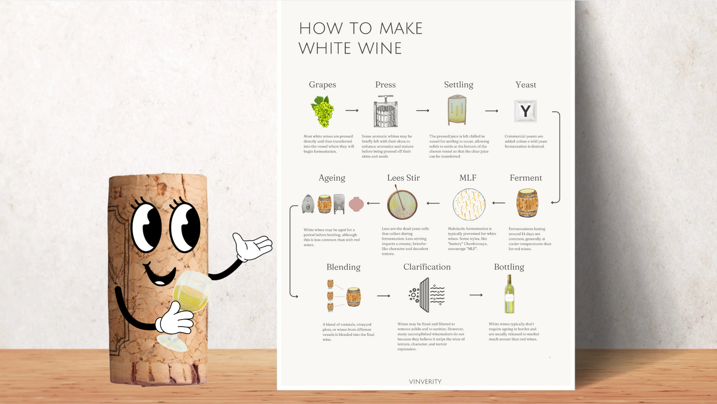 The Complete Wine Lover's Bundle