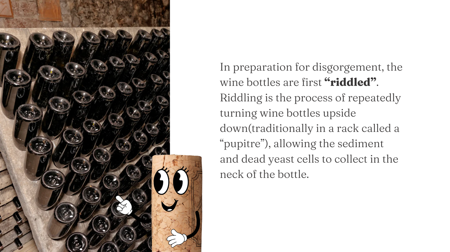 The Complete Wine Lover's Bundle