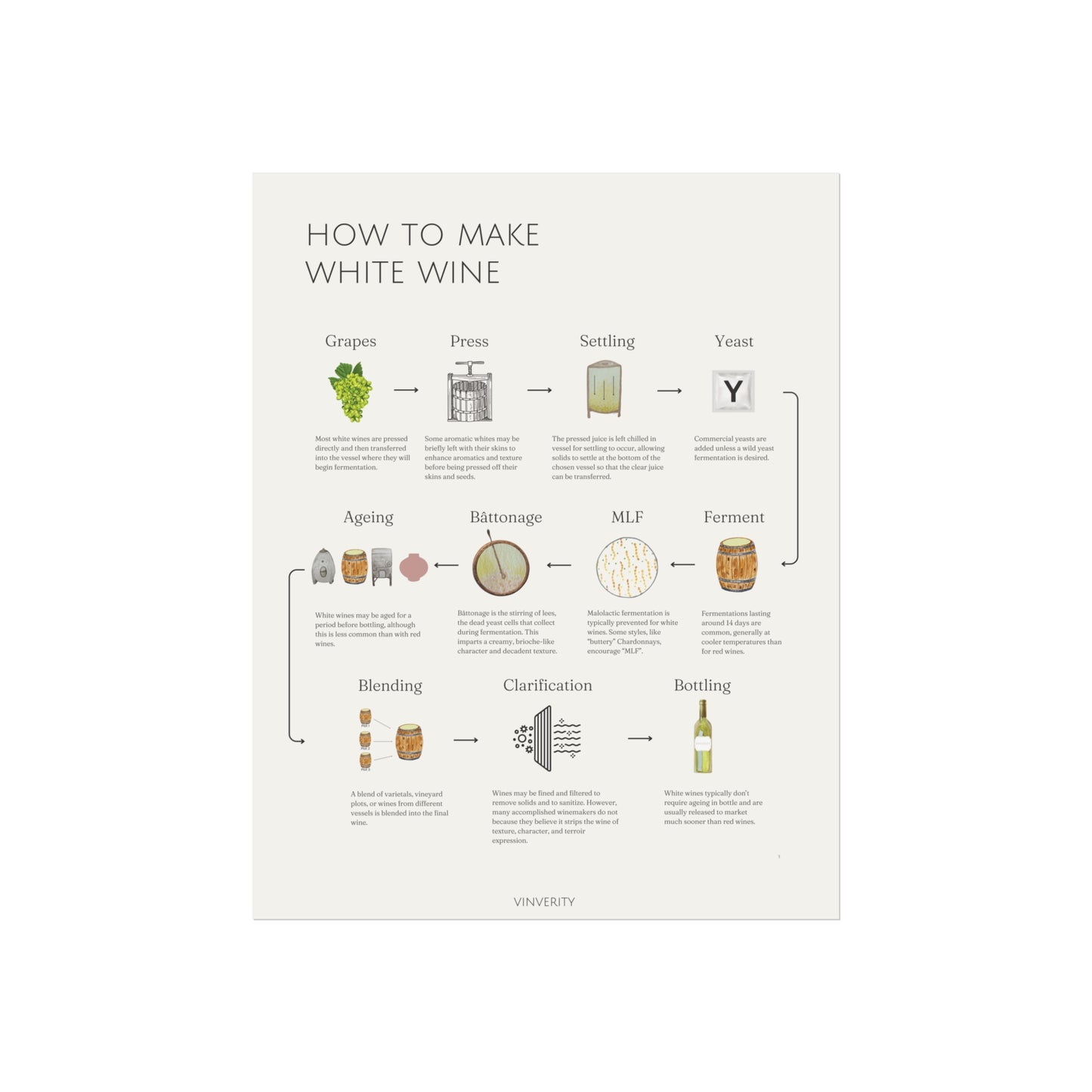 How to Make White Wine - Fine Art Print