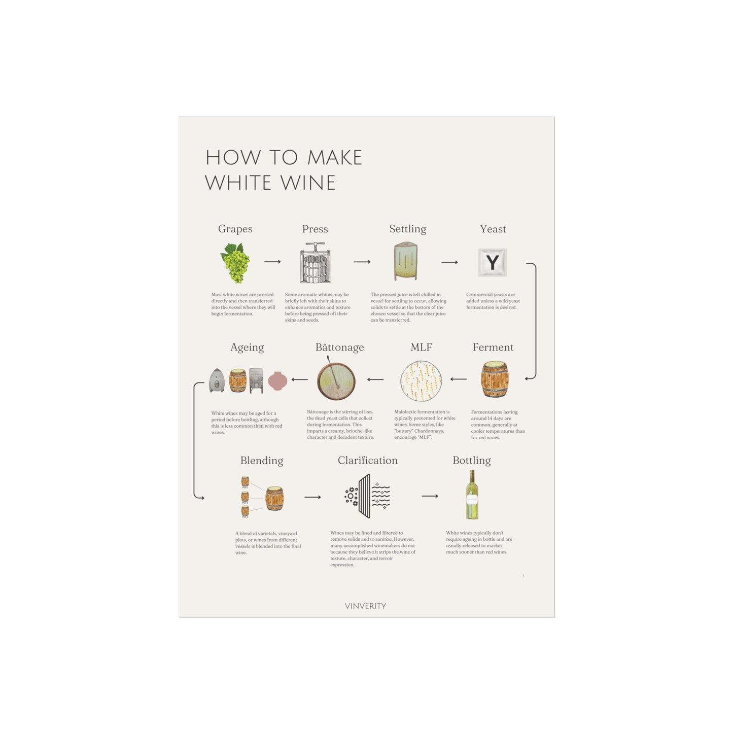 How to Make White Wine - Fine Art Print
