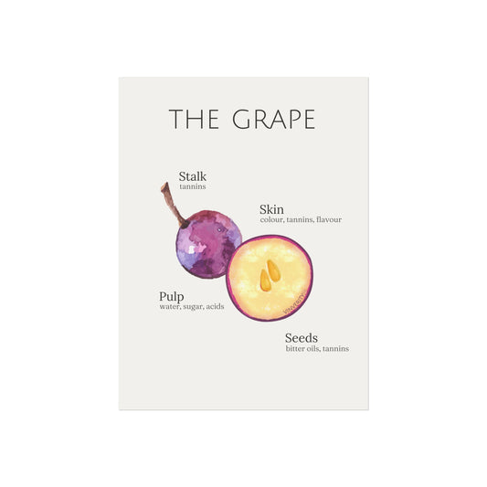 "The Grape" - Fine Art Print