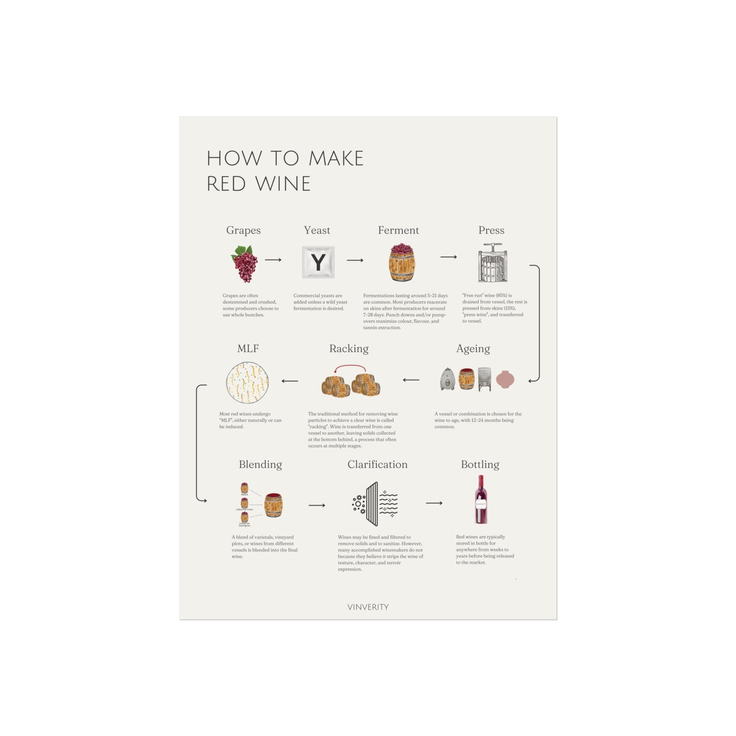 How to Make Red Wine - Fine Art Print