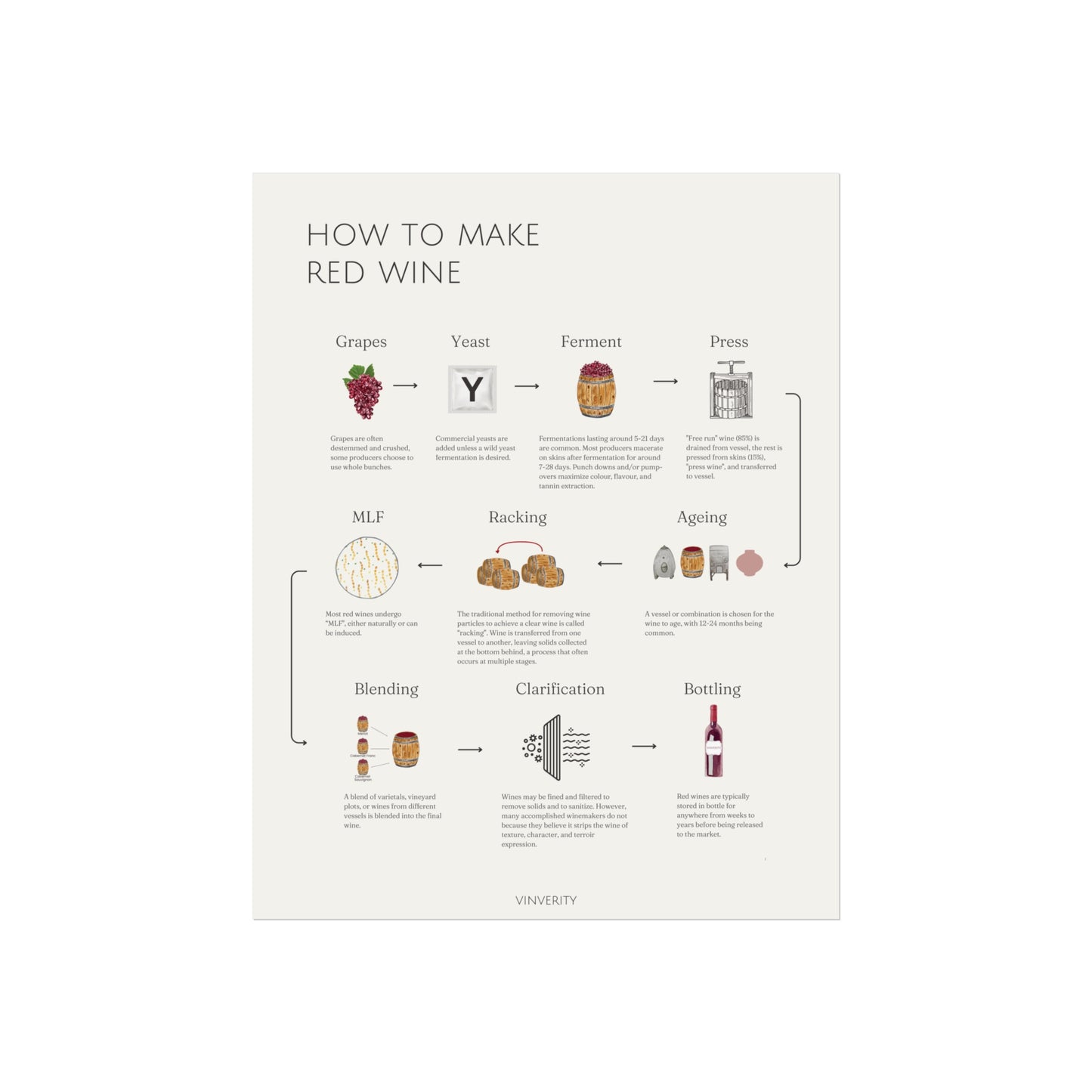 How to Make Red Wine - Fine Art Print