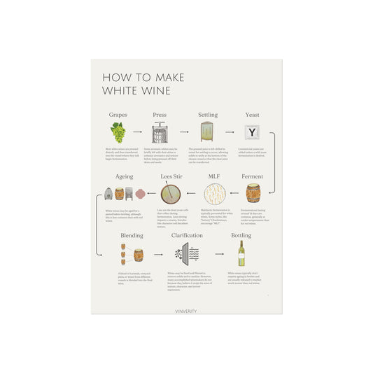 Elegant White Winemaking Poster