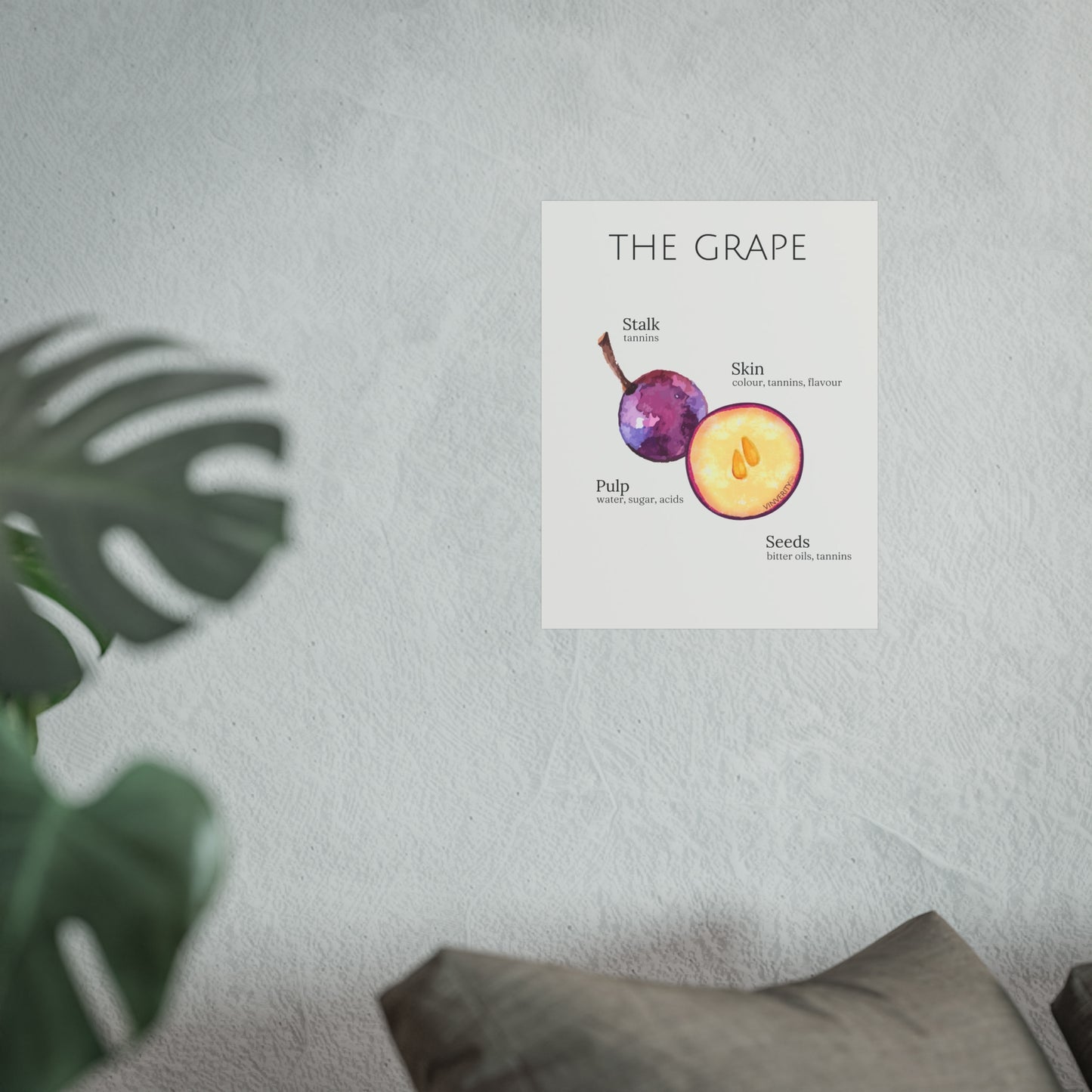 "The Grape" - Fine Art Print