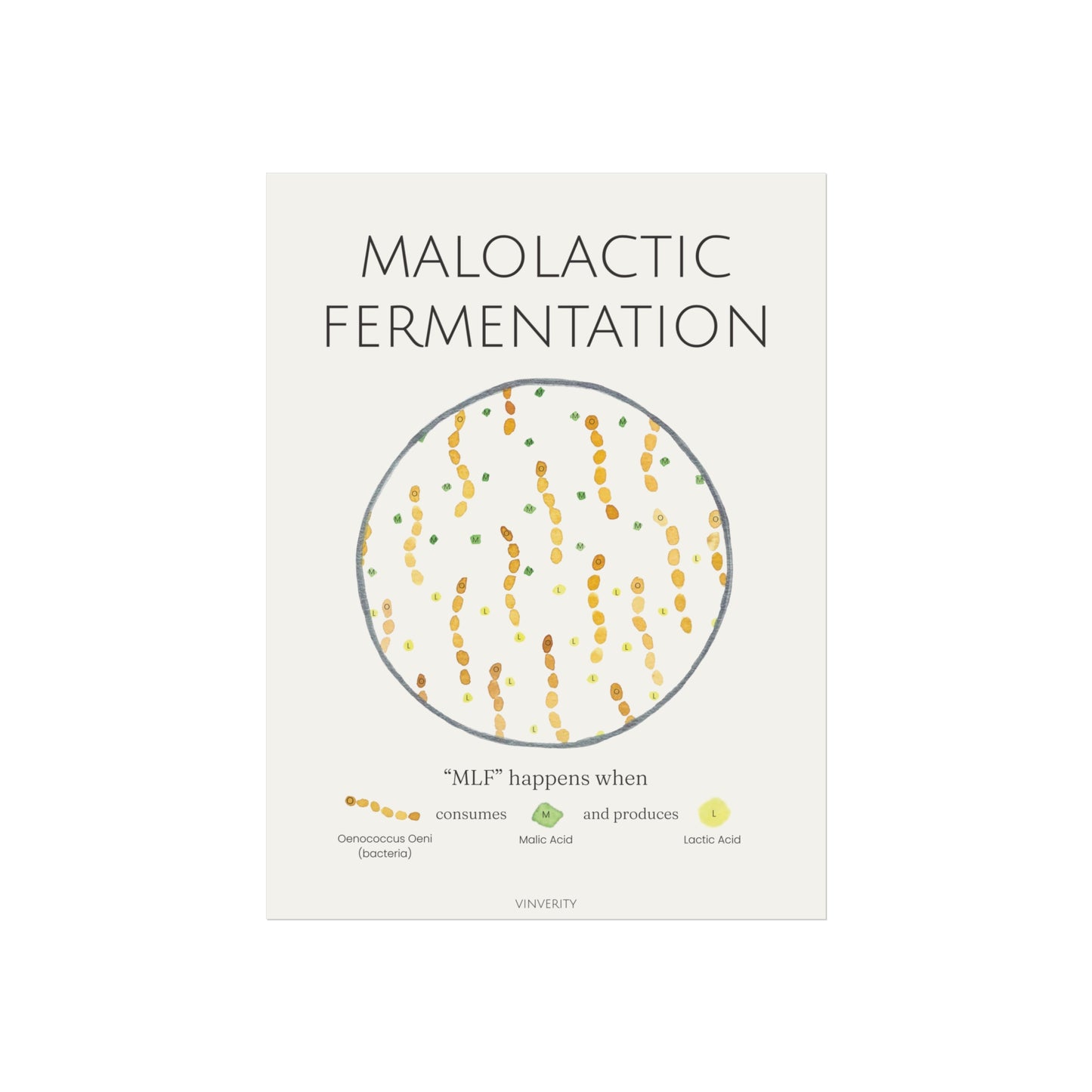 "MLF" - Fine Art Print